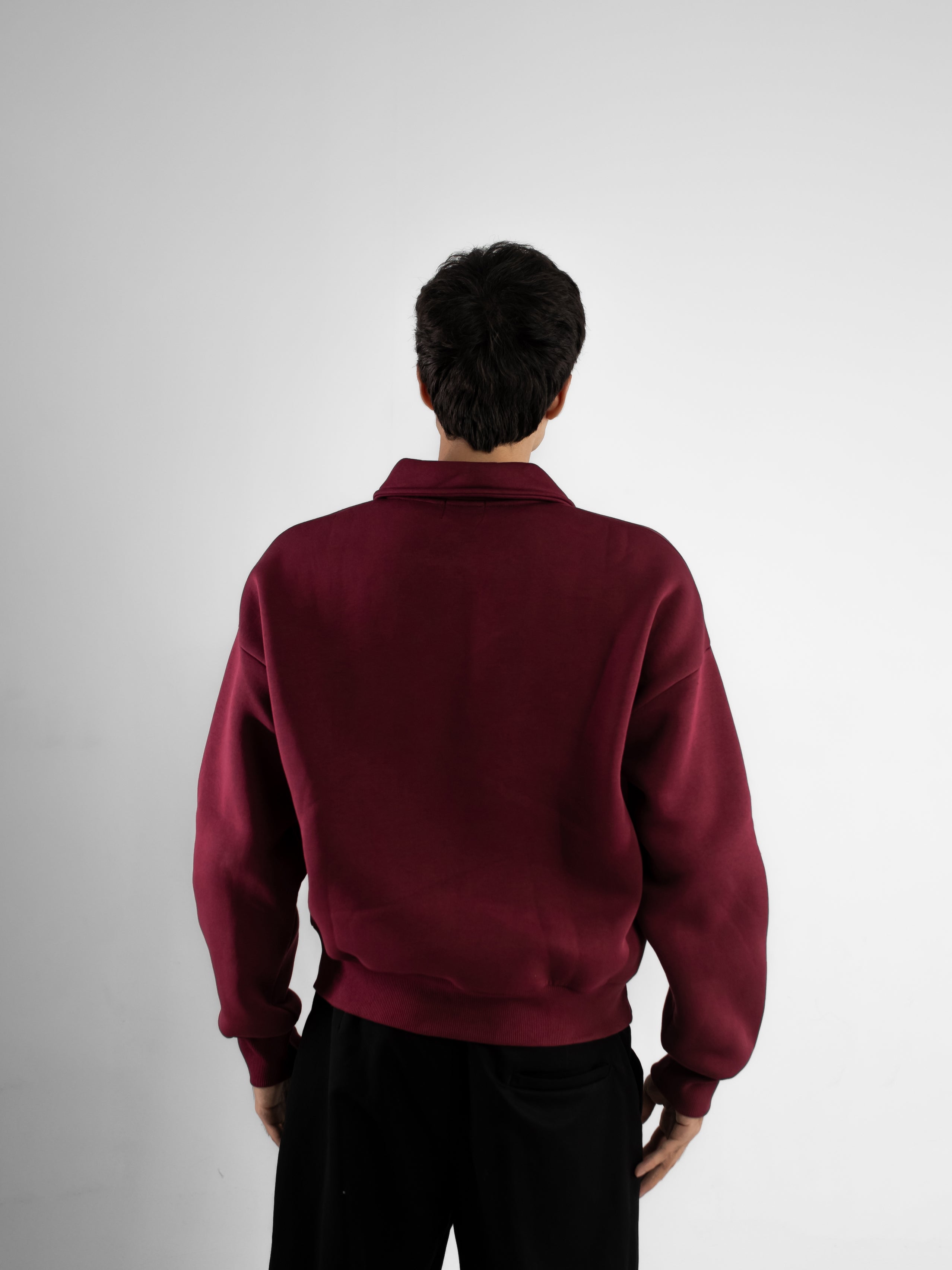 Polo quarter-Zip Sweatshirt